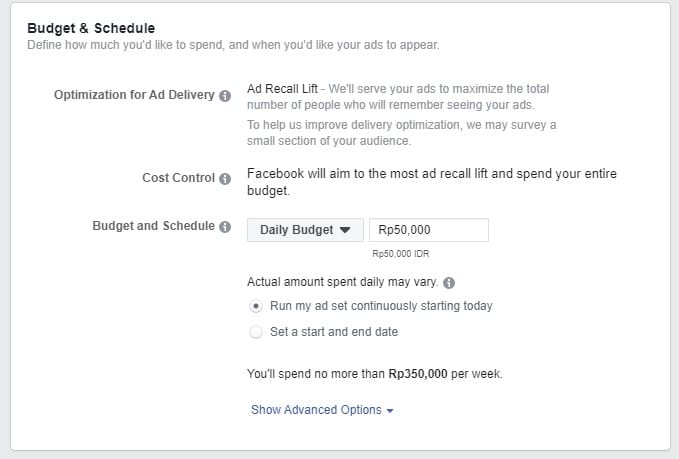 mengatur budget facebook ads